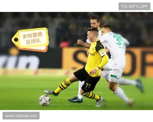 多特蒙德赛季初强势难掩后续乏力,高开低走趋势已逐步体现 多特蒙德赛季初强势难掩后续乏力,高开低走趋势已逐步体现